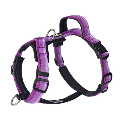 Gradient Harness & Leash Set