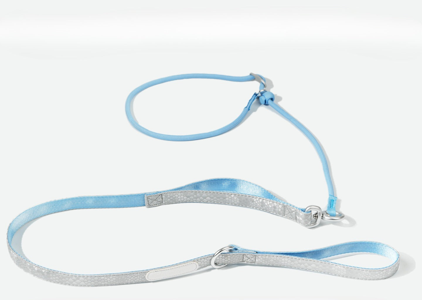 Dual Handle Training Dog Leash