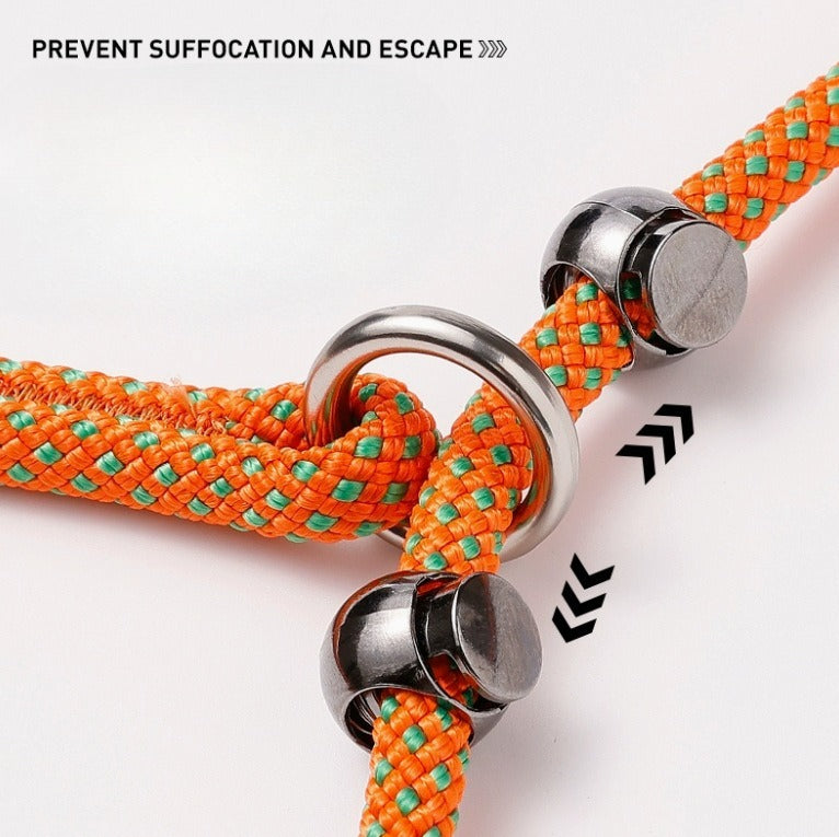 Professional Climbing Rope Slip Dog Leash