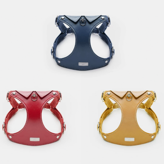 Three dog harnesses in blue, red, and gold on a white background