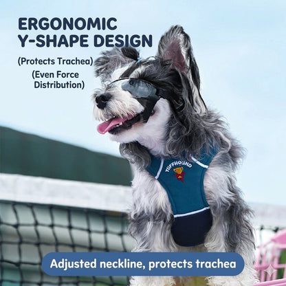 Sporty Mesh Dog Harness
