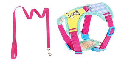 Plaid Bear Harness & Leash Set