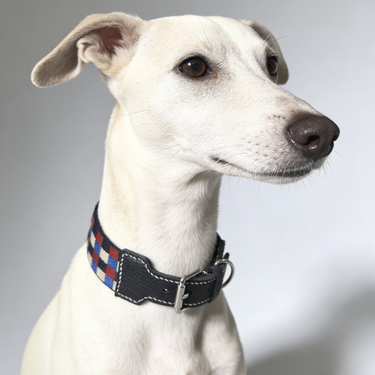 Plaid Leather Wide Dog Collar