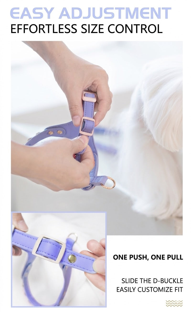 Sparkle Rhinestone Harness & Leash Set