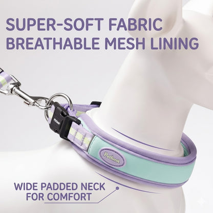Soft Mesh Collar & Leash Set