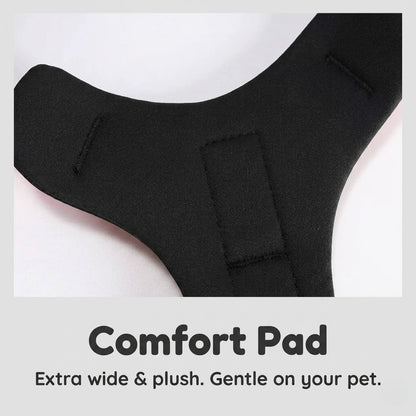 Gradient Harness & Leash Set