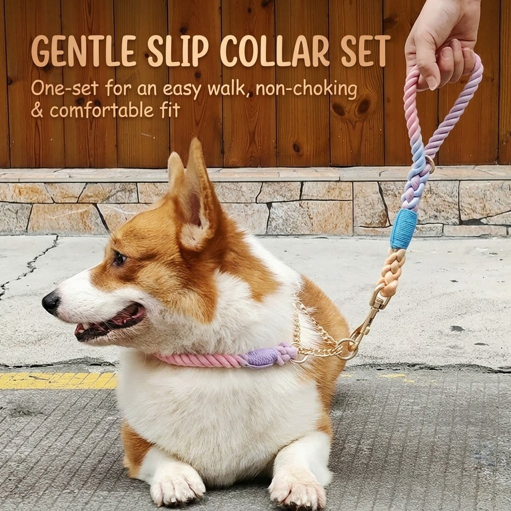 Braided Rope Collar & Leash Set