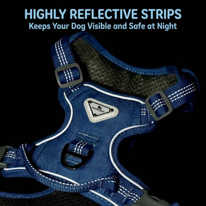 Reflective Adjustable Harness & Leash Set