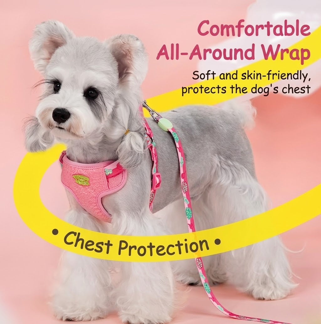 Sugar Series Harness & Leash Set