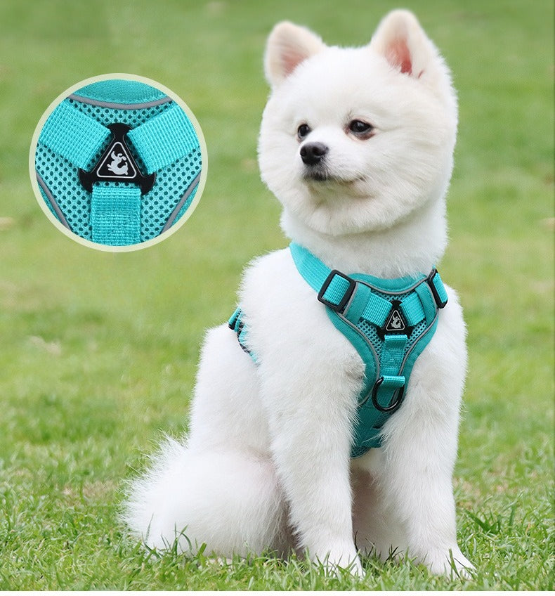 Reflective Mesh Harness & Leash Set