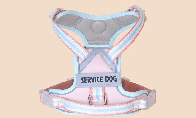 Breathable Mesh Harness & Leash Set