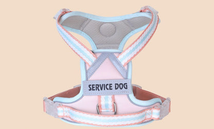 Breathable Mesh Harness & Leash Set
