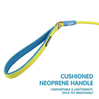 Geometric Color-Block Dog Leash