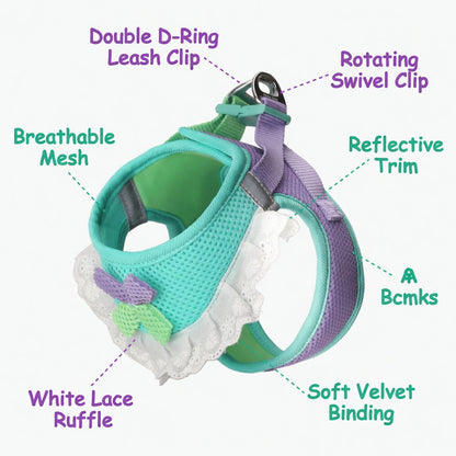 Lace Mesh Harness & Leash Set