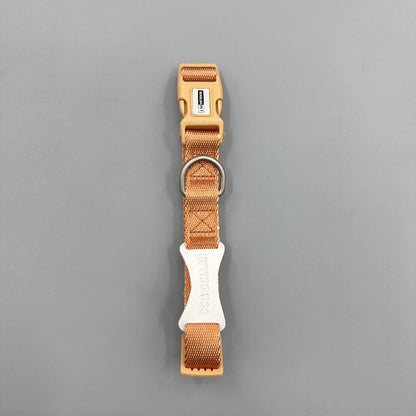 Color Block Dog Collar