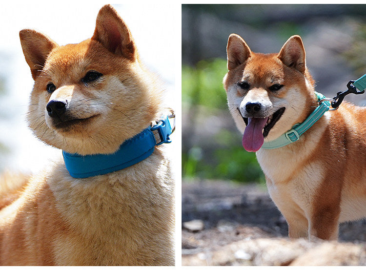 Reflective Cordura Dog Collar