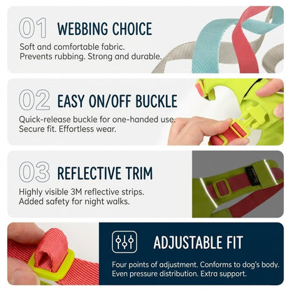 Hidden Pocket Harness & Leash Set