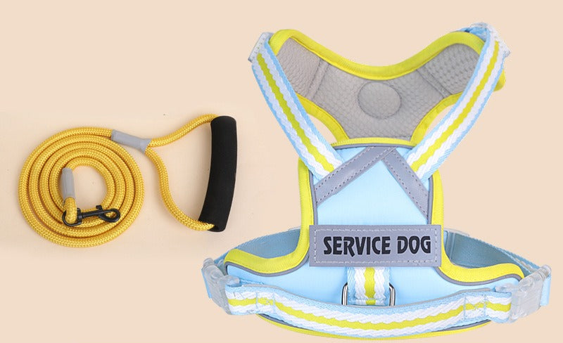 Breathable Mesh Harness & Leash Set