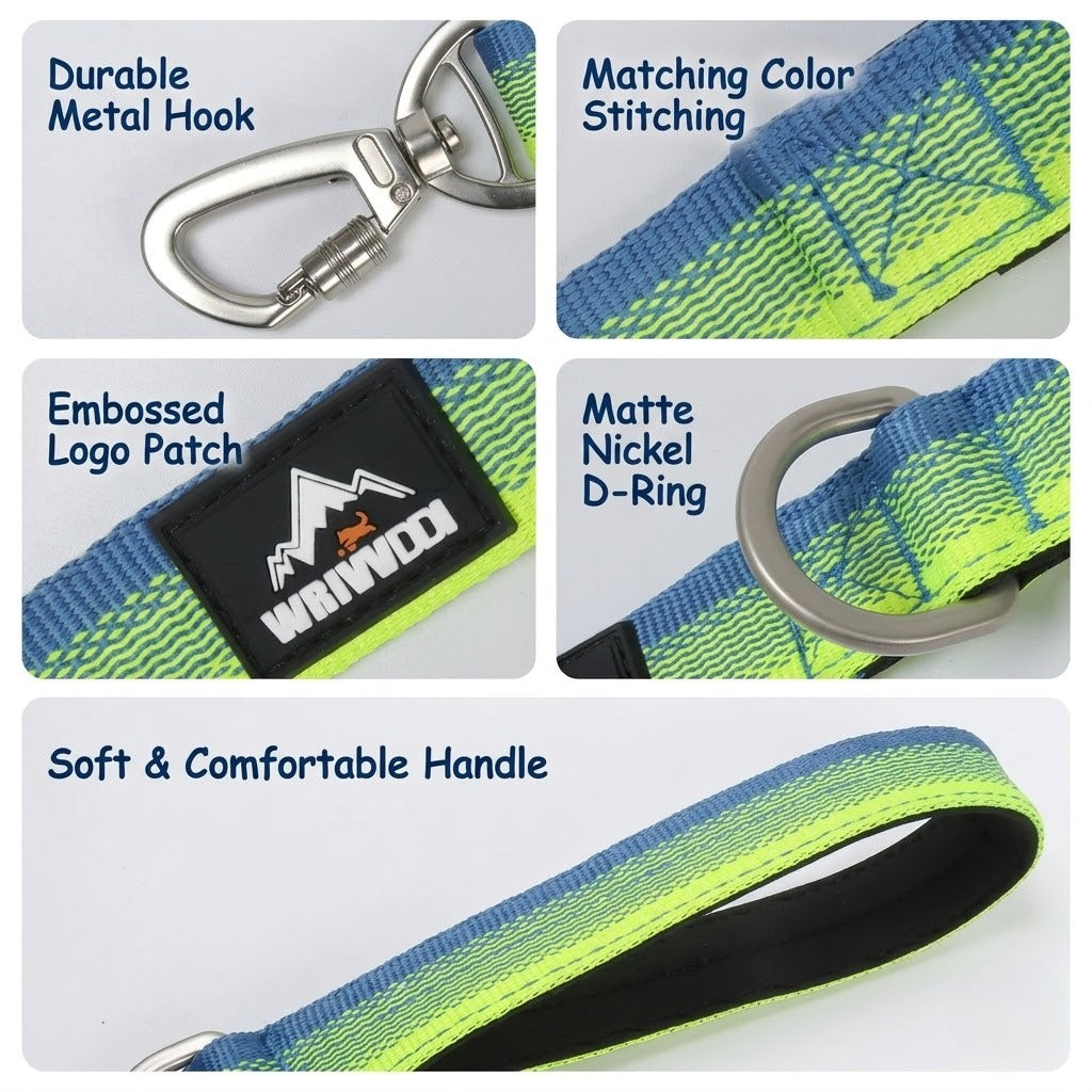 Gradient Dual-Handle Dog Leash