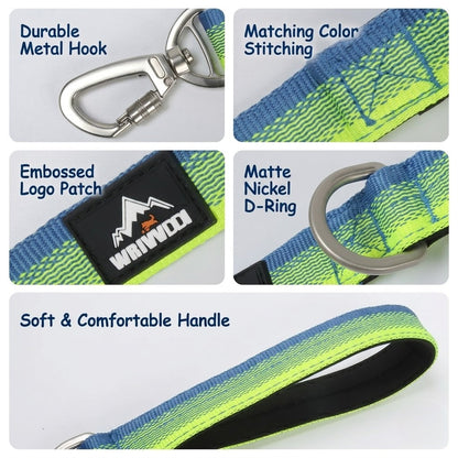 Gradient Dual-Handle Dog Leash
