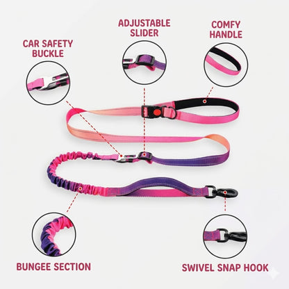Gradient Elastic Dog Leash
