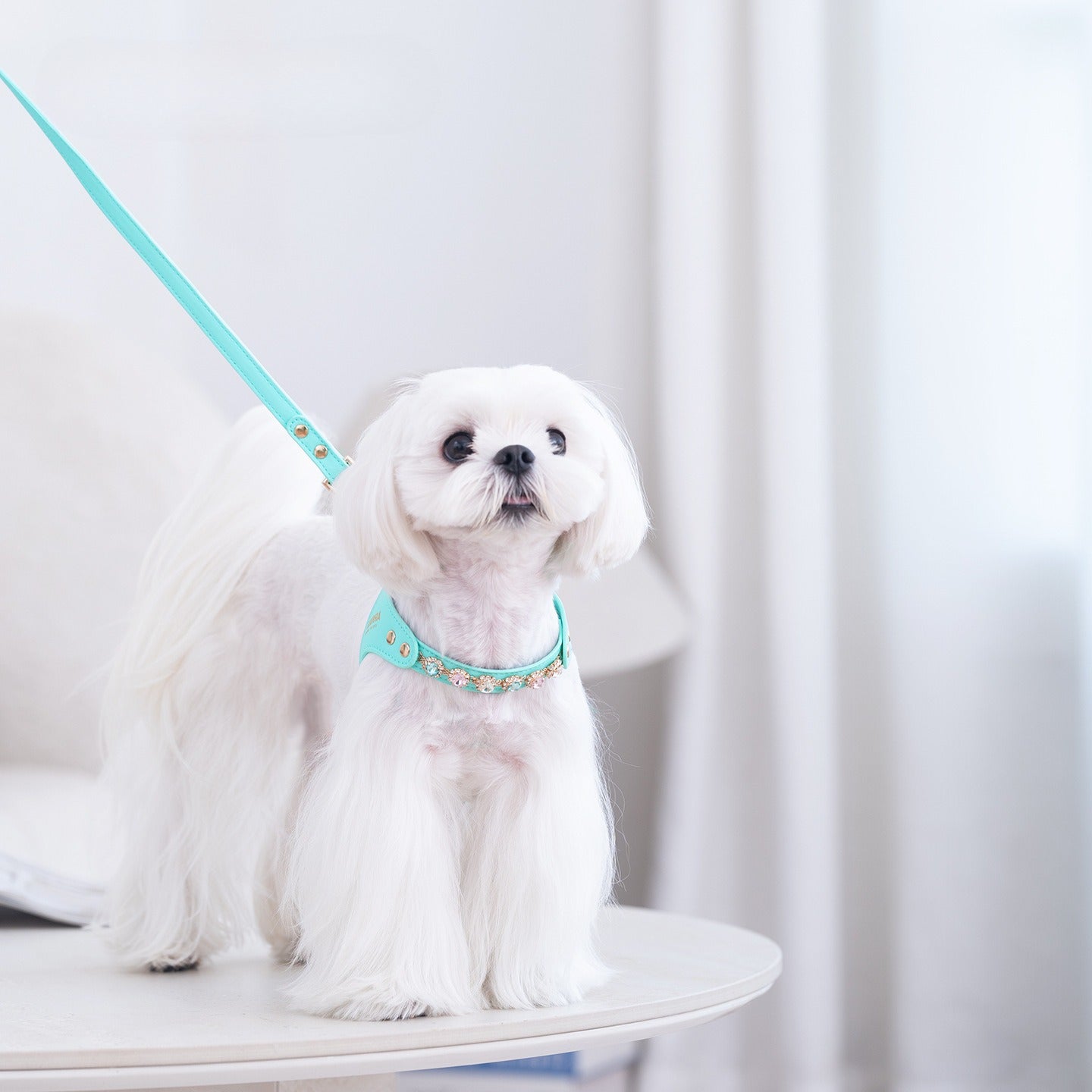 Sparkle Rhinestone Harness & Leash Set