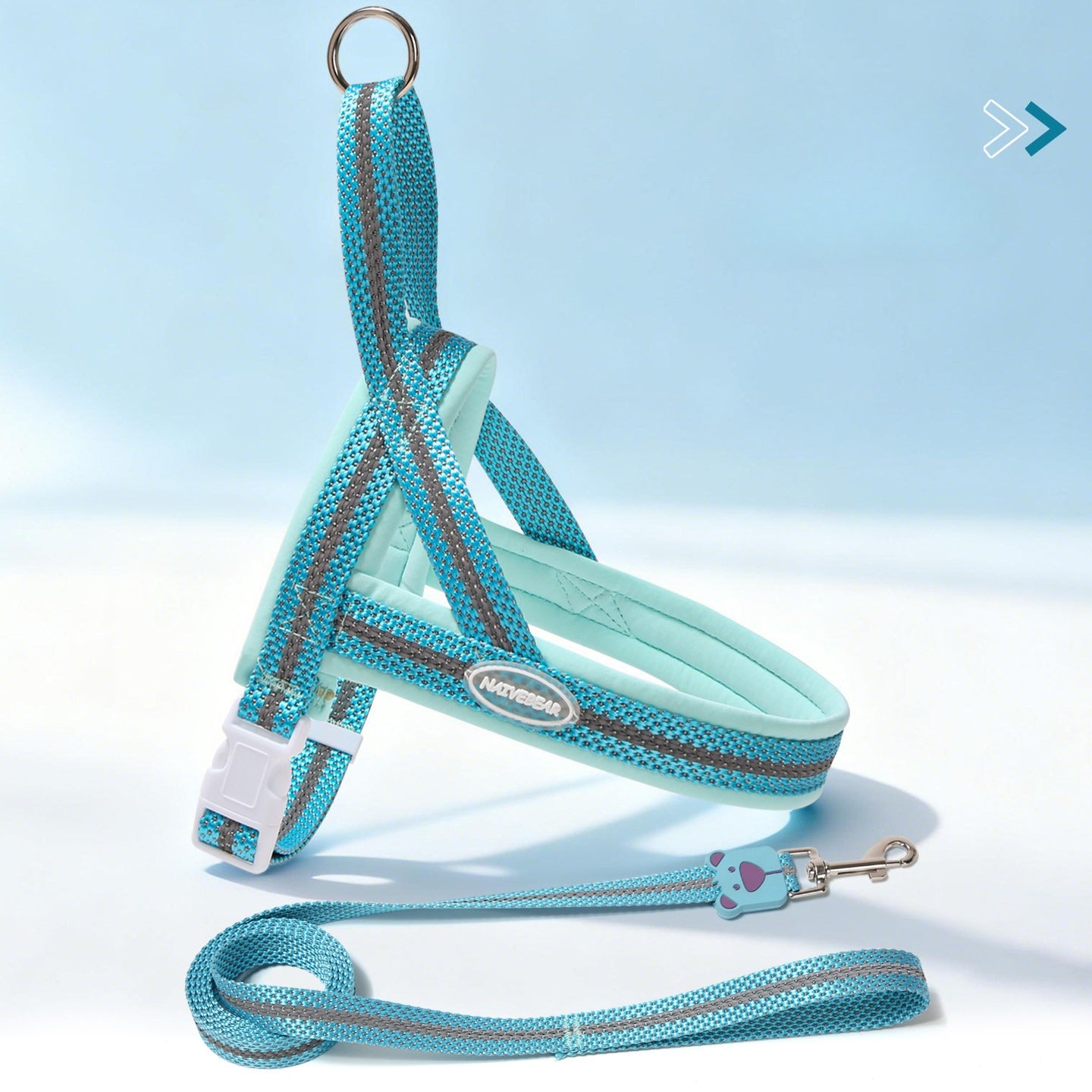 Reflective Mesh Harness & Leash Set