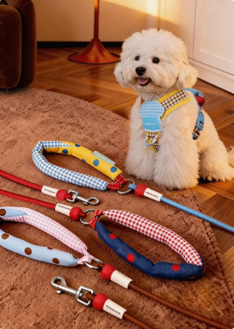 Retro Plaid Dog Leash
