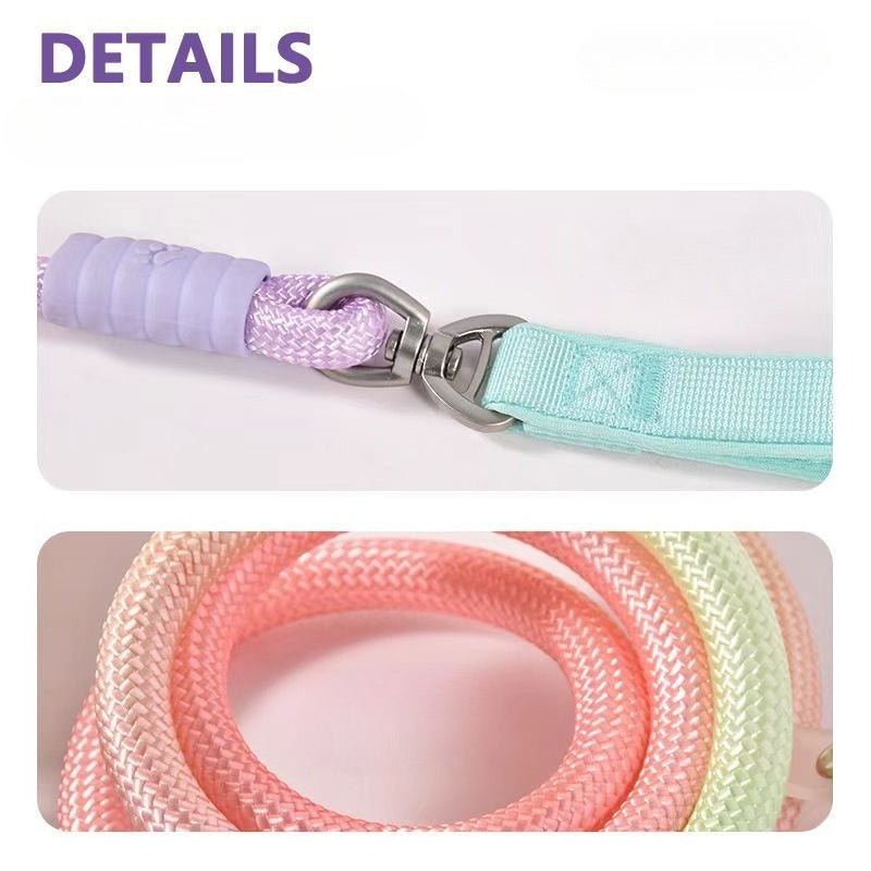 Gradient Slip Lead Dog Leash for Dogs – Blue