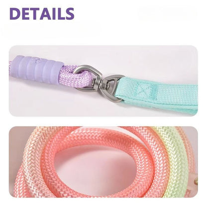 Gradient Slip Lead Dog Leash for Dogs – Blue