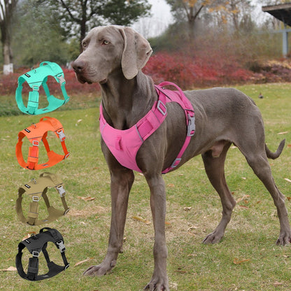 Reflective Lightweight Dog Harness & Leash Set