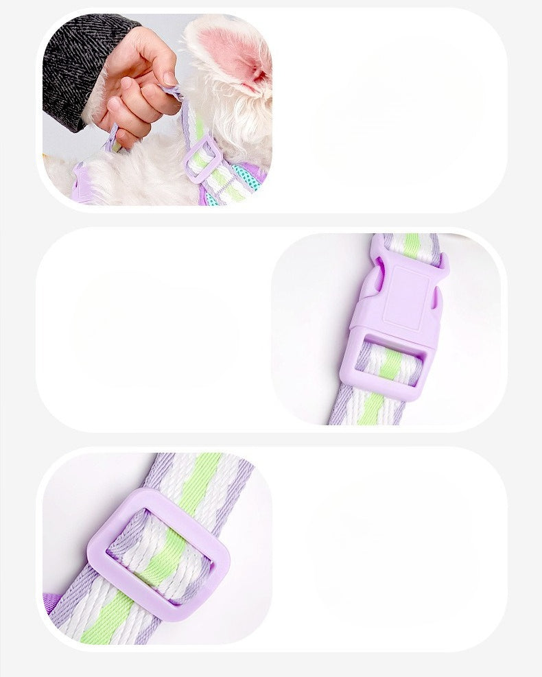 Breathable Mesh Harness & Leash Set