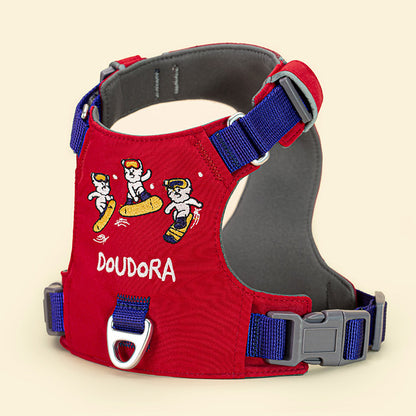 Embroidered Harness & Leash Set