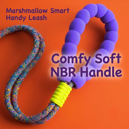 Multi-Way Braided Dog Leash – Rainbow