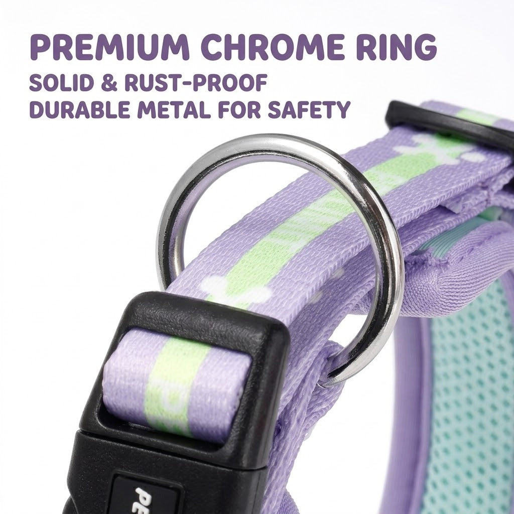 Soft Mesh Collar & Leash Set