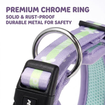 Soft Mesh Collar & Leash Set