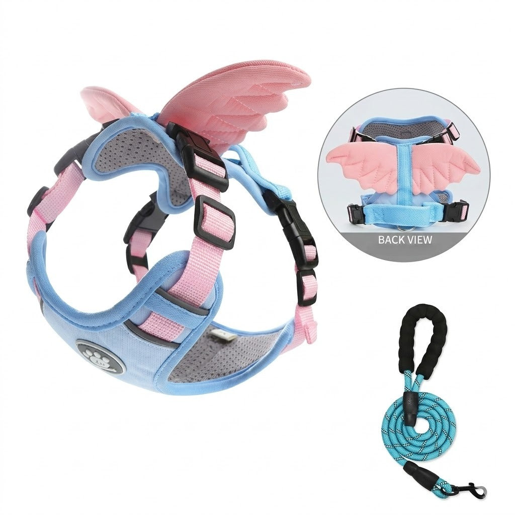 Angel & Devil Wing Harness & Leash Set