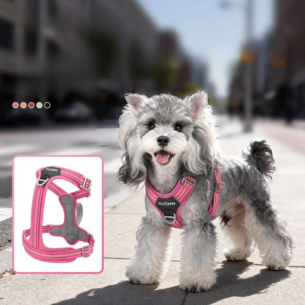 Reflective No-Pull Harness & Leash Set