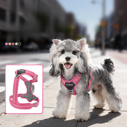 Reflective No-Pull Harness & Leash Set