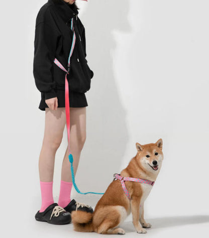 Patterned Hands-Free Dog Leash
