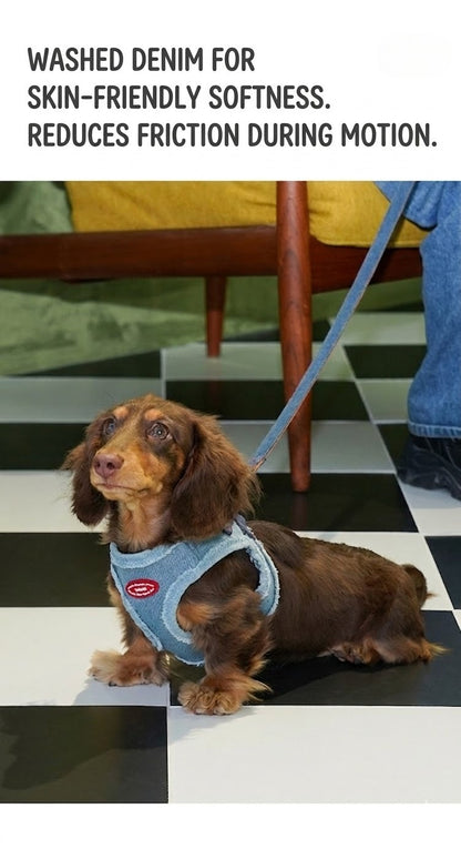 Denim Harness & Leash Set – Blue