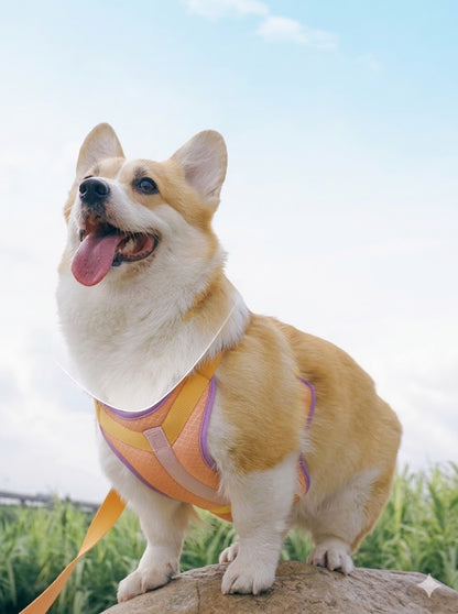 Cooling Mesh Harness & Leash Set