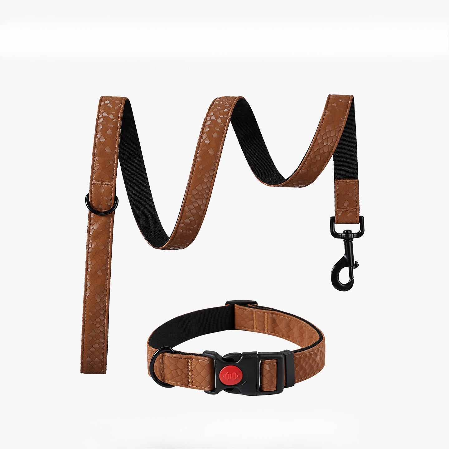 Snake Pattern Collar & Leash Set