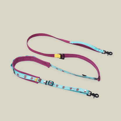 Multi-functional  Dog Leash