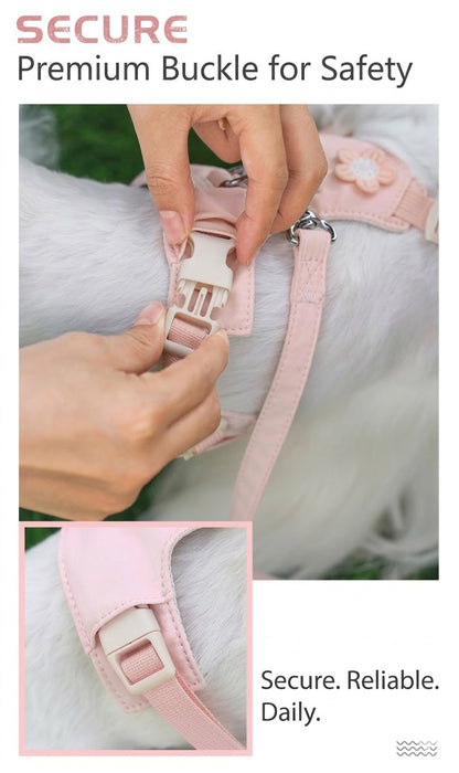 Floral Harness, Leash & Bag Set