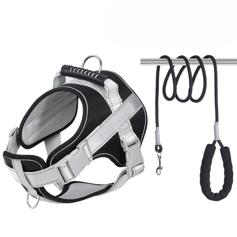 Reflective Harness & Leash Set