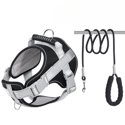 Reflective Harness & Leash Set