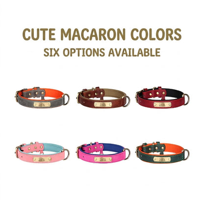 Six colorful dog collars with gold buckles on a white background, labeled 'Cute Macaron Colors'.