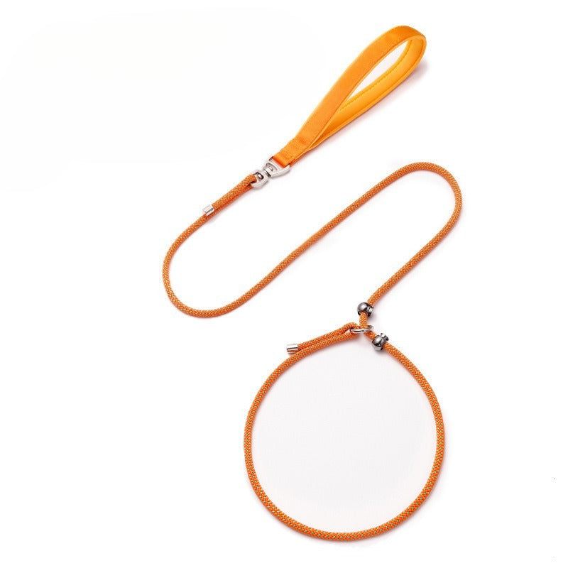 Professional Climbing Rope Slip Dog Leash