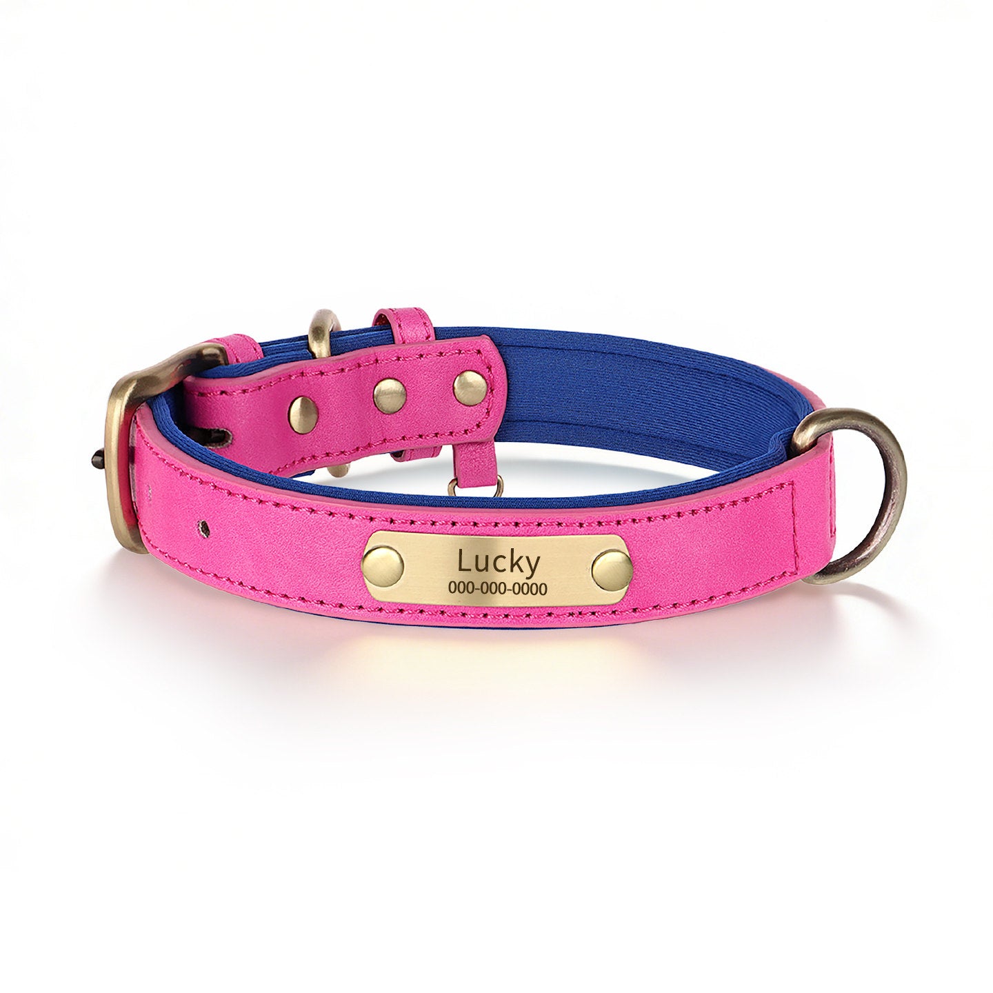 Personalized Dog Collar & Leash Set